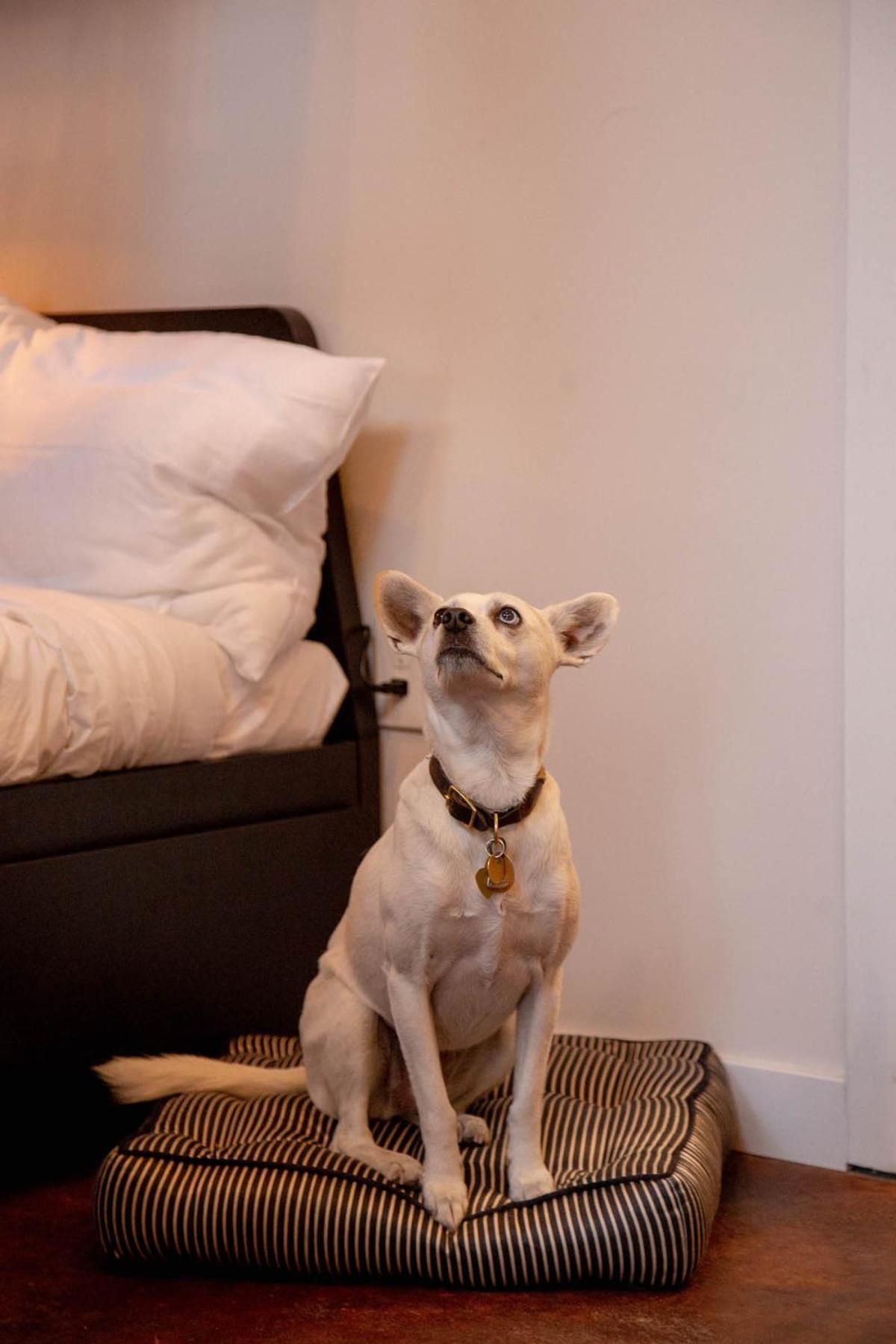 Reading Viaduct Loft, City Center, Contactless Check In Philadelphia Bagian luar foto